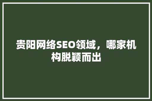 贵阳网络SEO领域，哪家机构脱颖而出