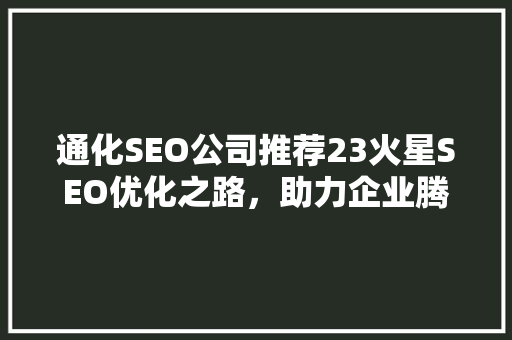 通化SEO公司推荐23火星SEO优化之路，助力企业腾飞