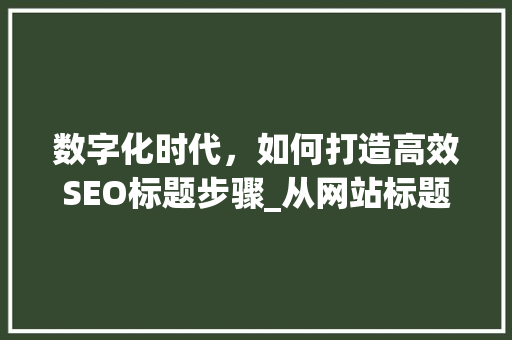 数字化时代，如何打造高效SEO标题步骤_从网站标题到SEO标题的演变之路