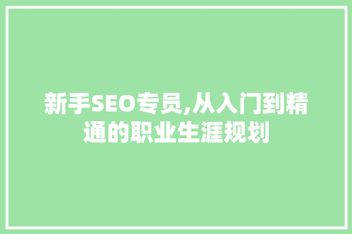 新手SEO专员,从入门到精通的职业生涯规划