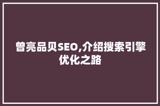 曾亮品贝SEO,介绍搜索引擎优化之路