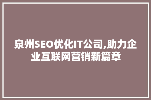 泉州SEO优化IT公司,助力企业互联网营销新篇章