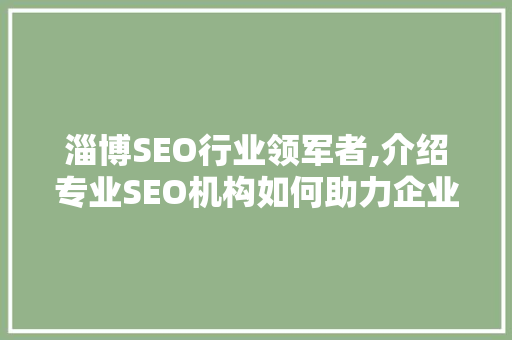 淄博SEO行业领军者,介绍专业SEO机构如何助力企业腾飞