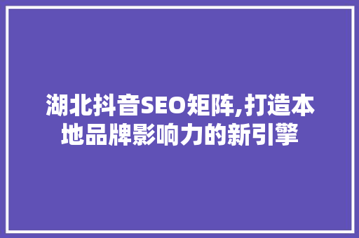 湖北抖音SEO矩阵,打造本地品牌影响力的新引擎