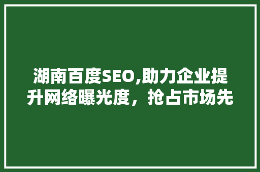 湖南百度SEO,助力企业提升网络曝光度，抢占市场先机