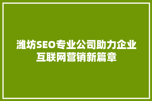 潍坊SEO专业公司助力企业互联网营销新篇章