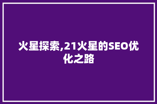 火星探索,21火星的SEO优化之路