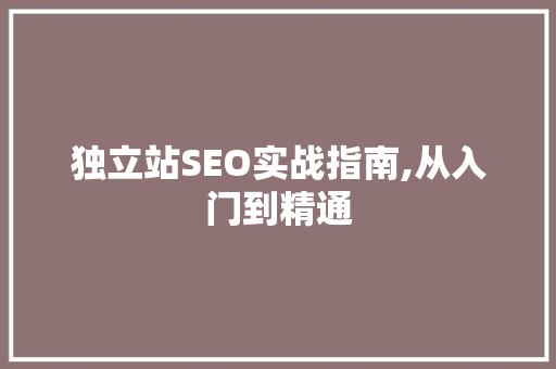 独立站SEO实战指南,从入门到精通