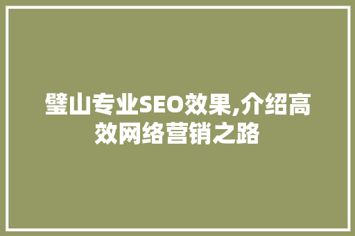 璧山专业SEO效果,介绍高效网络营销之路
