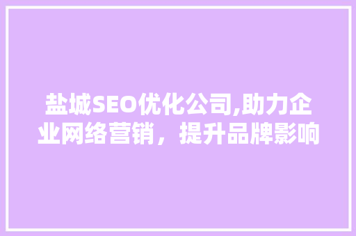 盐城SEO优化公司,助力企业网络营销，提升品牌影响力