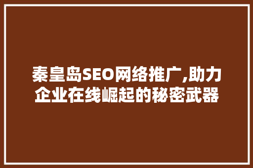 秦皇岛SEO网络推广,助力企业在线崛起的秘密武器