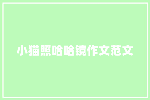 代码量的价值从凑代码到提升编程素养  第1张