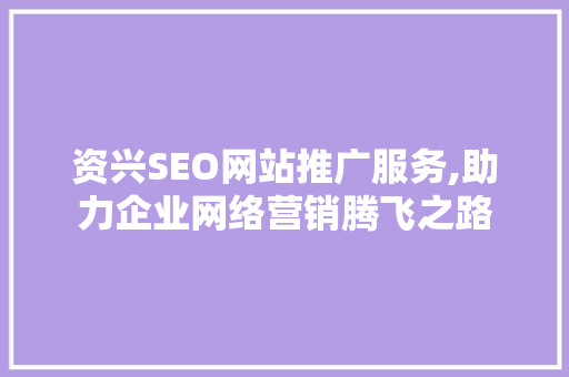 资兴SEO网站推广服务,助力企业网络营销腾飞之路