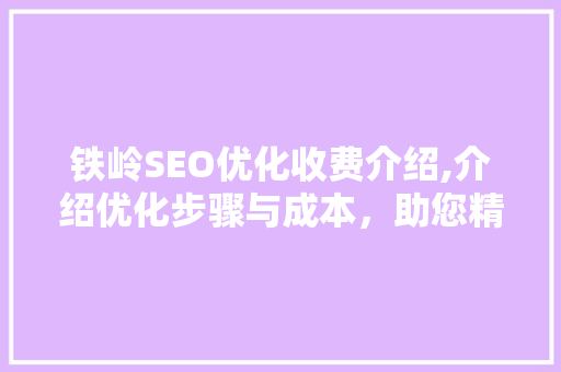 铁岭SEO优化收费介绍,介绍优化步骤与成本，助您精准投资
