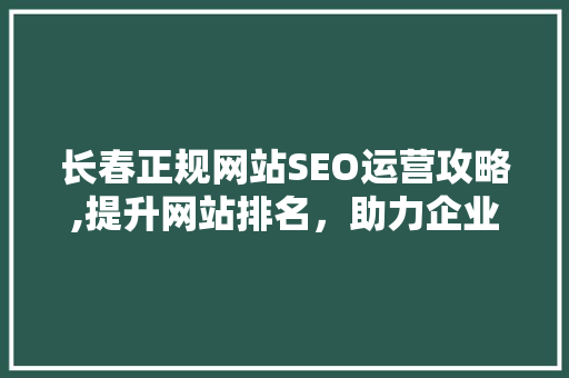 长春正规网站SEO运营攻略,提升网站排名，助力企业腾飞