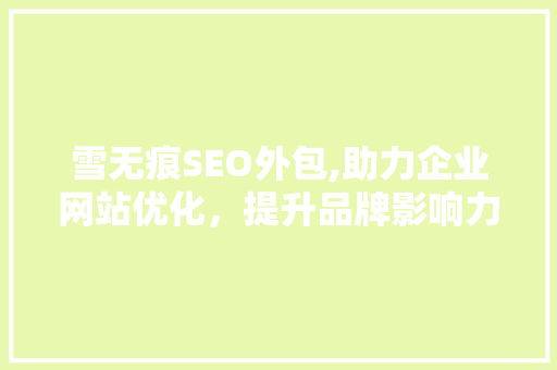 雪无痕SEO外包,助力企业网站优化，提升品牌影响力