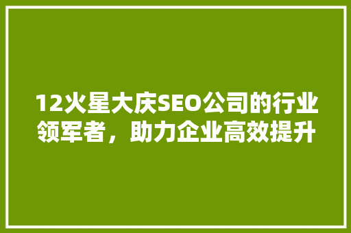 12火星大庆SEO公司的行业领军者，助力企业高效提升网络竞争力