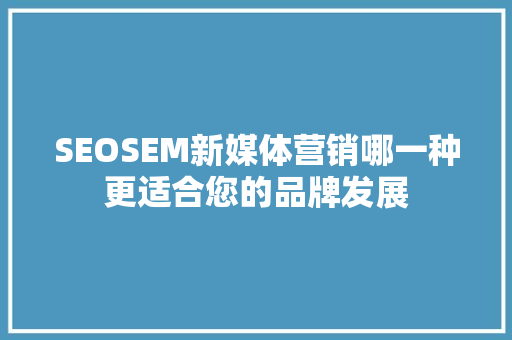 SEOSEM新媒体营销哪一种更适合您的品牌发展  第1张