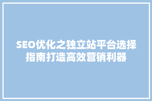 SEO优化之独立站平台选择指南打造高效营销利器