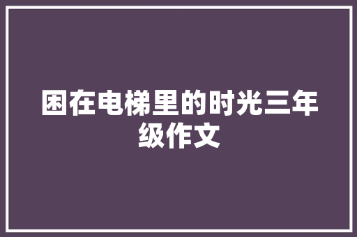 代码魔方秀编程之美，探索数字世界的奥秘