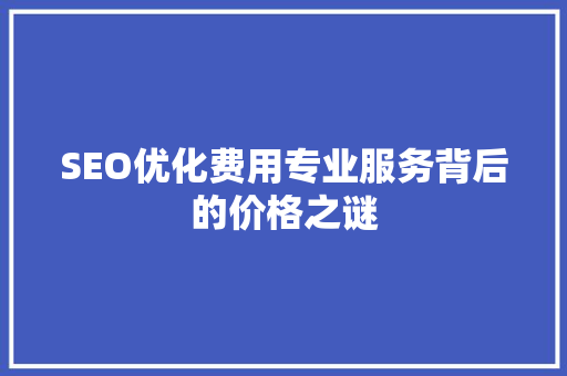 SEO优化费用专业服务背后的价格之谜