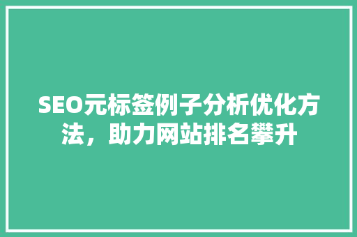 SEO元标签例子分析优化方法，助力网站排名攀升