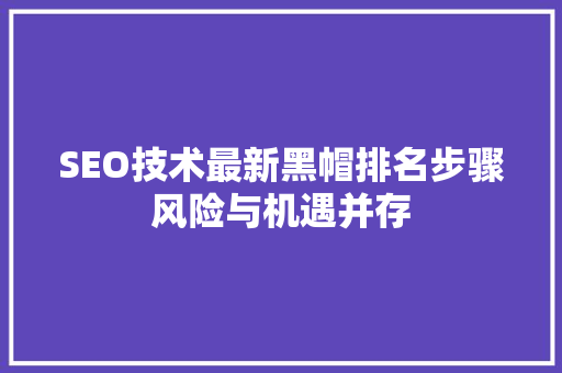SEO技术最新黑帽排名步骤风险与机遇并存