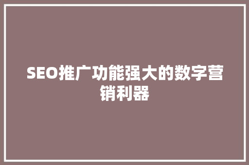 SEO推广功能强大的数字营销利器
