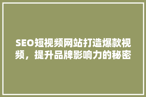 SEO短视频网站打造爆款视频，提升品牌影响力的秘密武器