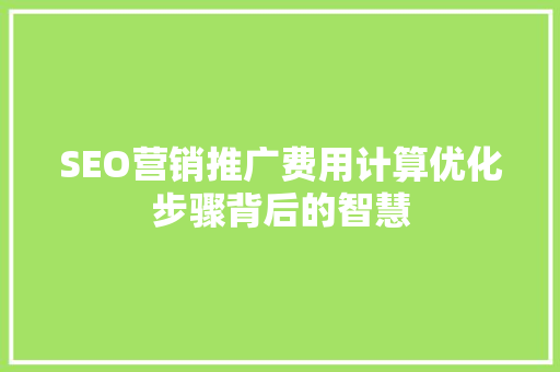 SEO营销推广费用计算优化步骤背后的智慧