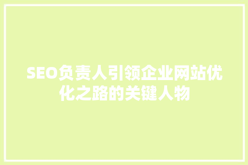 SEO负责人引领企业网站优化之路的关键人物
