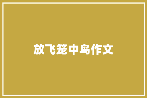 分屏敲代码高效编程的利器与未来趋势