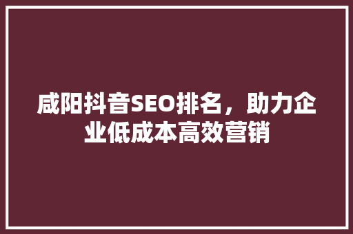 咸阳抖音SEO排名，助力企业低成本高效营销
