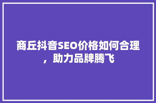 商丘抖音SEO价格如何合理，助力品牌腾飞