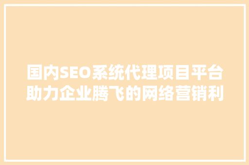 国内SEO系统代理项目平台助力企业腾飞的网络营销利器