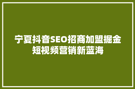 宁夏抖音SEO招商加盟掘金短视频营销新蓝海