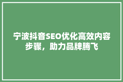 宁波抖音SEO优化高效内容步骤，助力品牌腾飞