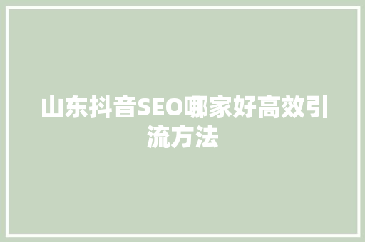 山东抖音SEO哪家好高效引流方法