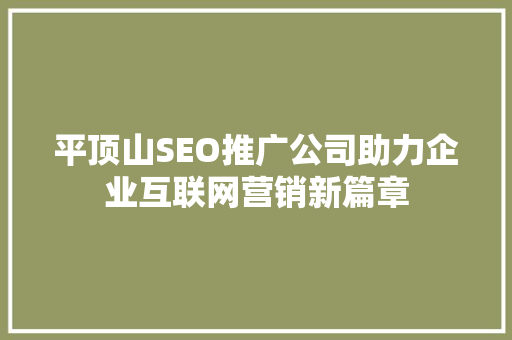 平顶山SEO推广公司助力企业互联网营销新篇章