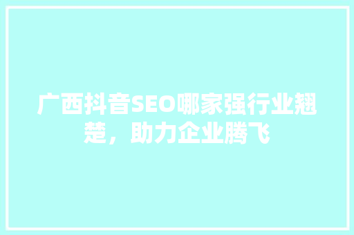 广西抖音SEO哪家强行业翘楚，助力企业腾飞