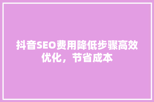 抖音SEO费用降低步骤高效优化，节省成本