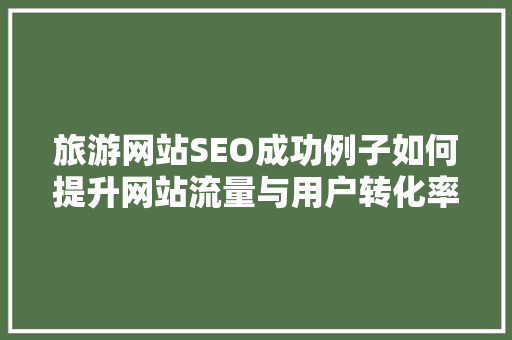 旅游网站SEO成功例子如何提升网站流量与用户转化率