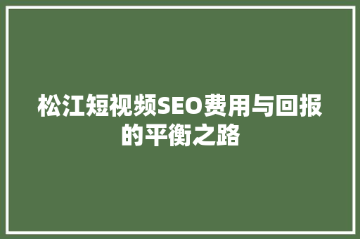 松江短视频SEO费用与回报的平衡之路