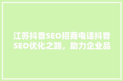 江苏抖音SEO招商电话抖音SEO优化之路，助力企业品牌腾飞