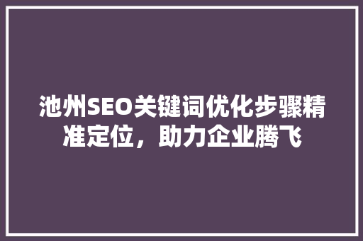 池州SEO关键词优化步骤精准定位，助力企业腾飞