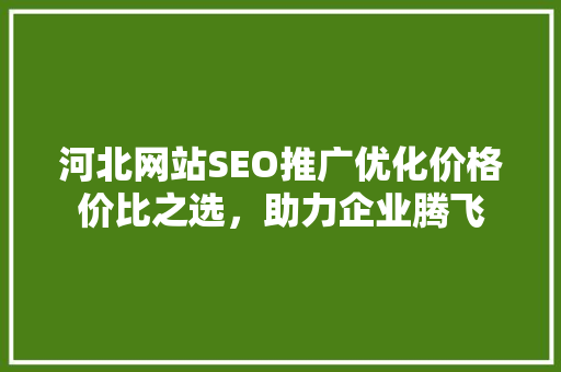 河北网站SEO推广优化价格价比之选，助力企业腾飞
