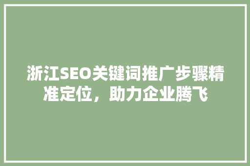 浙江SEO关键词推广步骤精准定位，助力企业腾飞