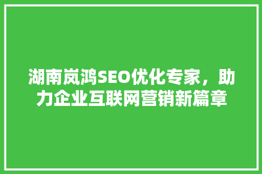 湖南岚鸿SEO优化专家，助力企业互联网营销新篇章
