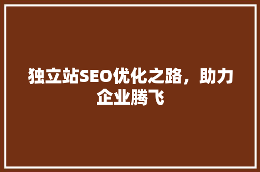 独立站SEO优化之路，助力企业腾飞