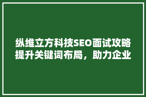 纵维立方科技SEO面试攻略提升关键词布局，助力企业网络营销